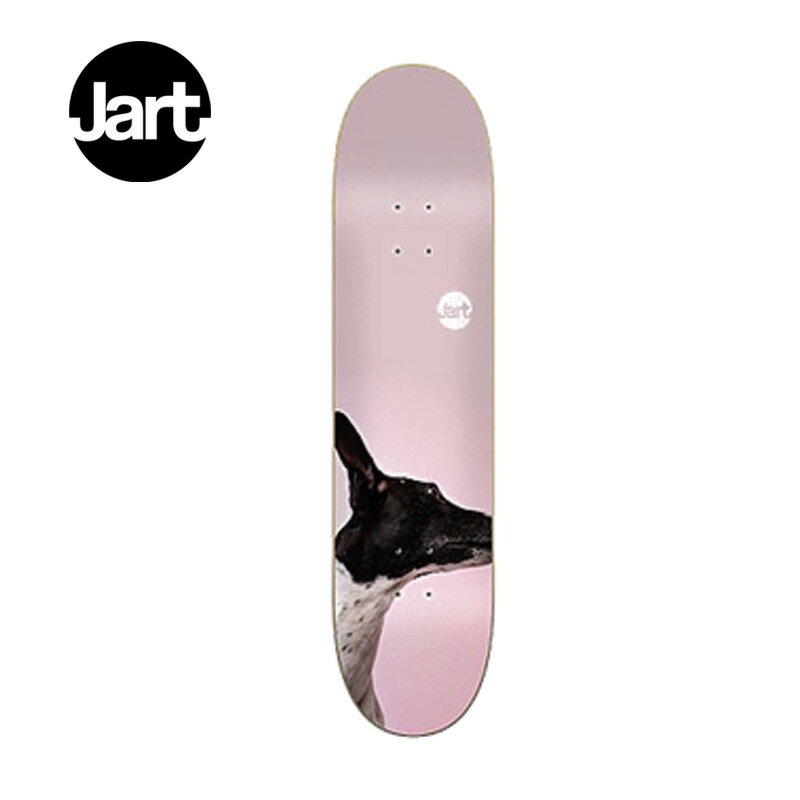 楽天surfcitySALE!! JART SKATEBOARD DECK TEAM Friends 8”/ジャート スケートボードデッキ【あす楽対応_関東】