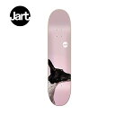 SALE!! JART SKATEBOARD DECK TEAM Friends 8h/W[g XP[g{[hfbLyyΉ_֓z