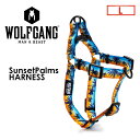 WOLFGANG MANBEAST EtMO  n[lX Y USA [֑ΉSunsetPalms HARNESS TCY(L)