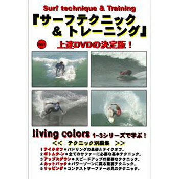 サーフィン DVD ショート How to 佐藤秀男 メール便対応可●サーフテクニック＆トレーニング