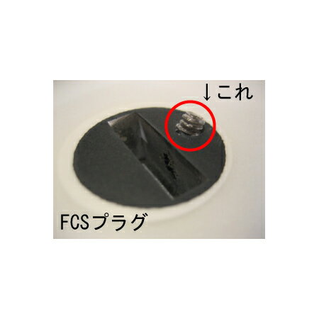 FCS,エフシーエス,FCS2,FCSII,サーフィン,ネジ,スクリュー,プラグ,メール便対応可●STAINLESS STEEL SCREWS FCSプラグ用ネジ