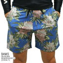 l܂IBANKS/oNX SEASONS BOARDSHORTS COBALT jp T[tpc {[hV[c T[tgNX Cp  Y 0170