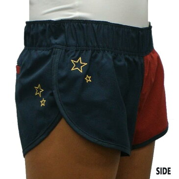 値下げしました！HURLEY/ハーレー レディース LADYS SUPERSUEDE STARS BEACHRIDER BOARDSHORTS 434 女性用 サーフパンツ ボードショーツ サーフトランクス 海パン 水着 BV8195