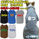 愛犬の名入れが出来る ひらがな横書き 犬用Tシャツ 犬服 超中型犬~大型犬 2XL~4XL 6色展開 プリントカラーは10色 メール便送料無料 【返品、交換、キャンセル不可】