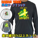男女兼用 Tシャツタイプ長袖ラッシュガード サーフTシャツ メンズ/レディース UPF50+ 【HAWAII VIBES】 サーフィンワールド オリジナル 男性...