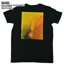 値下げしました！BANKS/バンクス COLE BARASH SOUND WAVES S/S TEE DIRTY BLACK MENS メンズ 男性用 半袖Tシャツ 丸首 BANKS ARTIST JOURNAL　クリックポスト対応