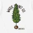 SW オリジナル サーフ柄Tシャツ BOTANICAL_BULB サーフプリント S/S WHITE TEE 半袖Tシャツ 5.6oz ヘビーウェイト 工場直送 メール便 送料無料 同梱不可[返品、交換及びキャンセル不可] 2