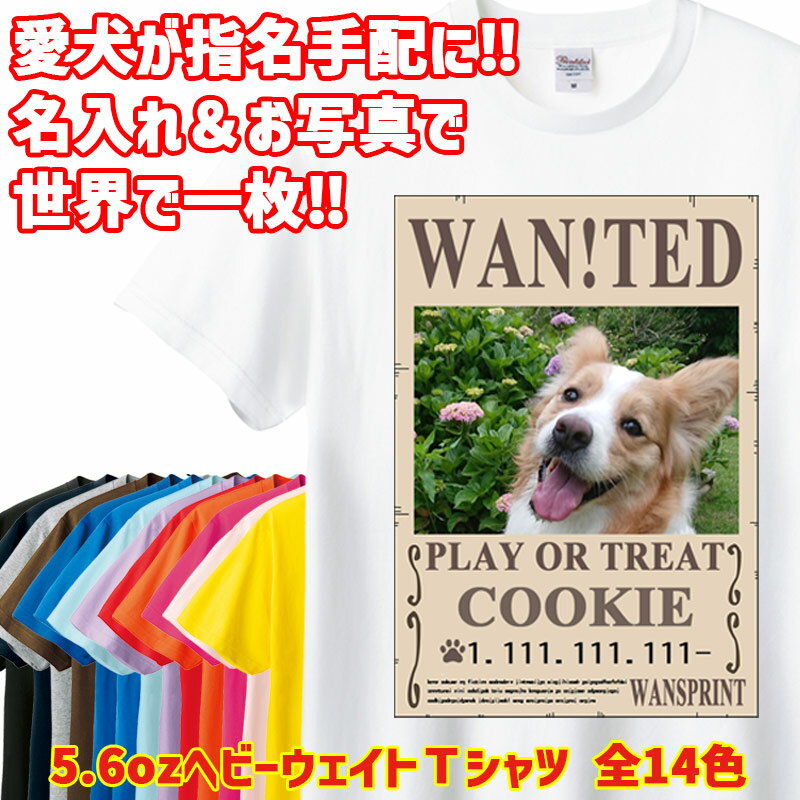 ̾̿ץȾµTġWAN!TEDۥѥǥ ̾ WANTED λҥå λT 5.6oz ...