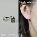 バツリカ ピアス トリム ニッケルフリージルコニアプチピアス TRIM BY VATSURICA 四角 / 真鍮 / チタンポスト / シルバー SILVER / トリムバイバツリカ / ギフト プレゼント 贈り物 / アクセサリー / ワンポイント / 両耳用 / メール便送料無料 t-1260p3-sv(4)