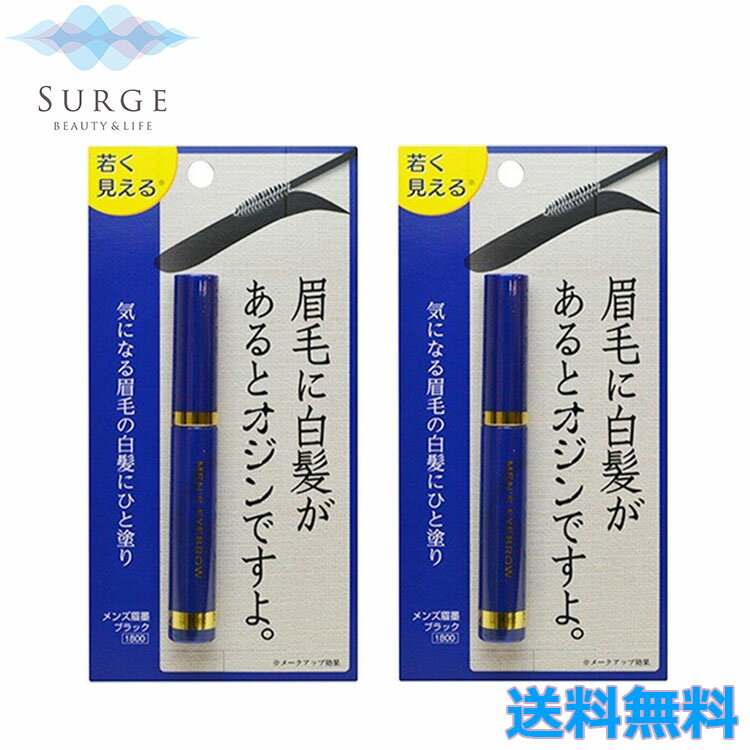 2本セット メンズ眉墨 ブラック アイブロウ 5g メンズコスメ 白髪隠し ブラック 眉毛 ビナ薬粧