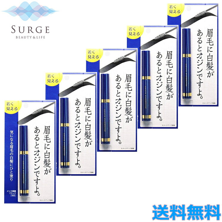 5本セット メンズ眉墨 ブラック アイブロウ 5g メンズコスメ 白髪隠し ブラック 眉毛 ビナ薬粧