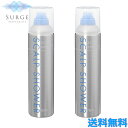 2本セット ニチリ スキャルプシャワー 250g 頭皮ケア ヘアケア ヘアーローション スカルプケア ひんやり ヘッドマッサージ 頭皮ケア 爽快感 フケ かゆみ 日理