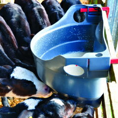 �ߥ륯���С� Ӯ���Х��� �Х��å�10�����60L��