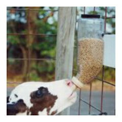 �ڻҵ���Υ���ˡۥ����������ܥȥ�