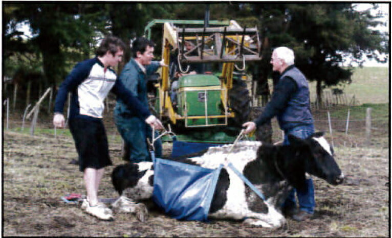 �ڵ�Ω��ǽ�ε��ˡۥ����������å�