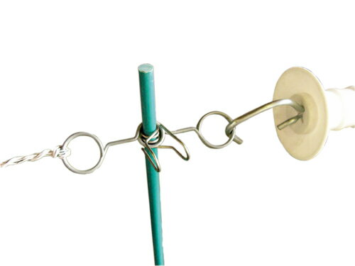 �ŵ������������� �ʰץ����ȥ��󥫡�