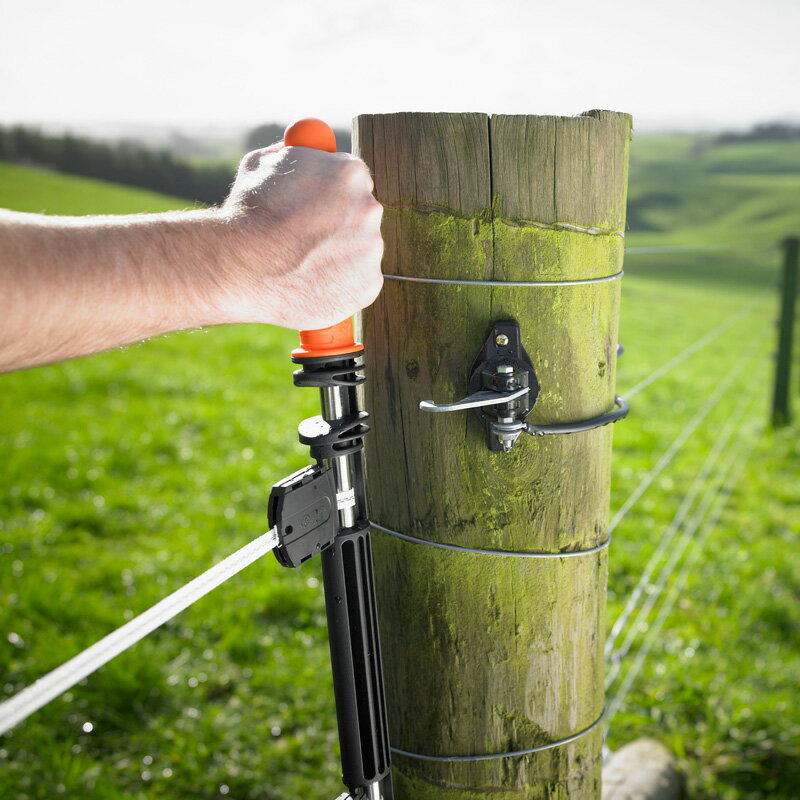 ���ŵ��� ���ʡۥ�󥿥å��ơ��ץ��������� ţ��WP�����ѡ�