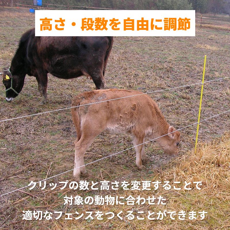 ���饬�� �ŵ������� ����ե����ݡ���12��1370mm