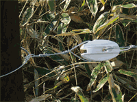 【電気柵ガイシ】ガラガー 大型コーナー碍子スーパー(白) その1