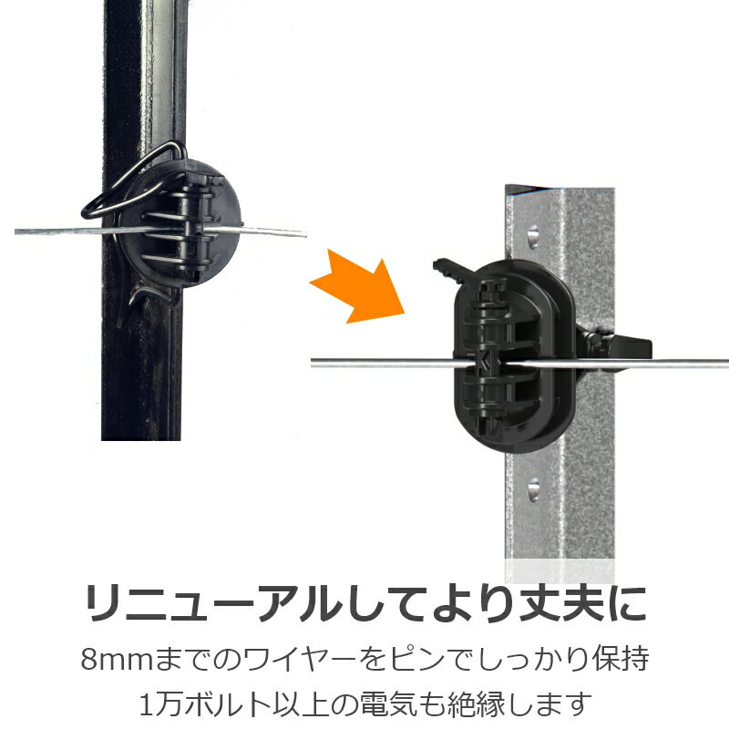 ���ŵ����������ۥ��饬�� �ݥ곷��YP�� | �ŵ� ��� ���� Y�ݥ�����