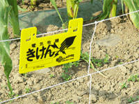 【電気柵部品】ガラガー きけん表示板SMC