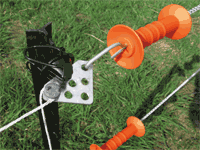 ���ŵ������ʡۥ����ȥץ졼��