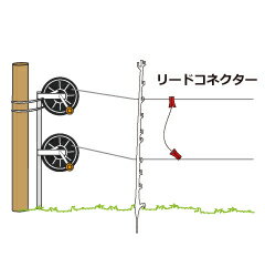 ���饬�� �ŵ��� �꡼�ɥ��ͥ�����