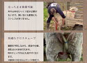 surge-m:10000662のサンプル画像3