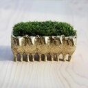 苔盆栽ひつじ真鍮製/アラハシラガゴケ