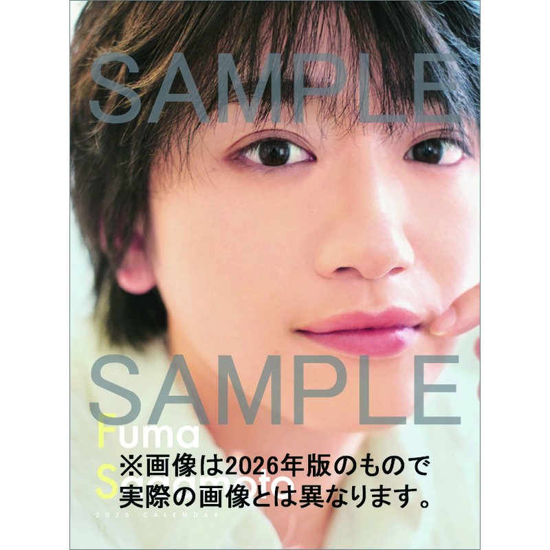 【送料無料】【取寄商品】 2027年カレンダー卓上 定本楓馬27CL-0316[10/03発売]