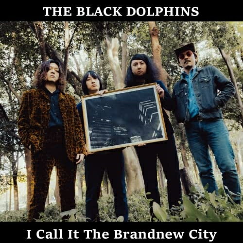 CD / THE BLACK DOLPHINS / I Call It The Brandnew City / RFR-112