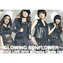 DVD / SPEED / `GLOWING SUNFLOWER` SPEED LIVE 2010z[ / AVBD-16219