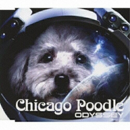 CD / Chicago Poodle / ǥå / GZCA-7139
