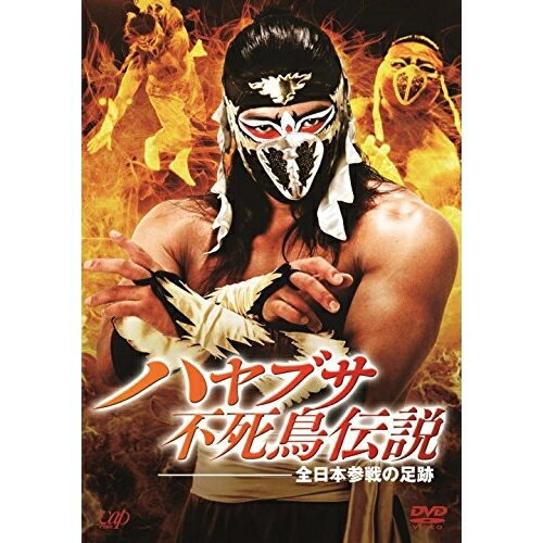 楽天サプライズ2DVD / スポーツ / ハヤブサ不死鳥伝説 全日本参戦の足跡 / VPBH-14520