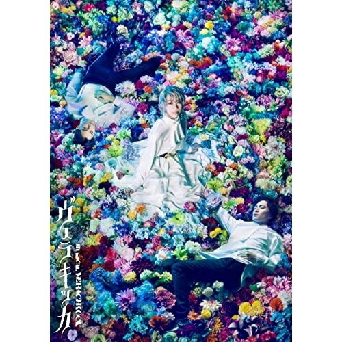 ミュージカル『ヴェラキッカ』ミュージカル美弥るりか、松下優也、古屋敬多、愛加あゆ、大久保祥太郎、斎藤瑠希、和田俊輔　発売日 : 2022年9月21日　種別 : DVD　JAN : 4988013971189　商品番号 : PCBP-54456