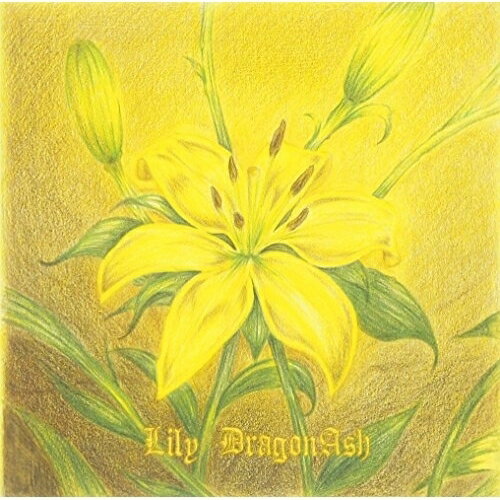 CD / Dragon Ash / Lily (通常盤) / VICL-36856