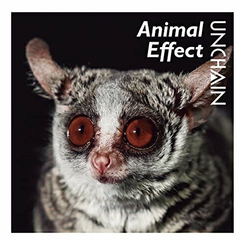 CD / UNCHAIN / Animal Effect / CRCP-40624