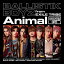 CD / BALLISTIK BOYZ from EXILE TRIBE / Animal / RZCD-77327