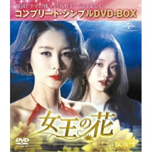 DVD / TVɥ / β BOX4(ץ꡼ȡץDVD-BOX) (ԥǥ10+ŵǥ1) (ָڥץ饤) / GNBF-5188