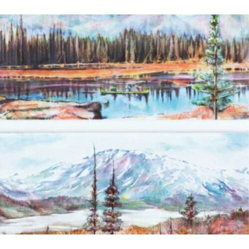 CD / アナログフィッシュ / 荒野/On the Wild Side / PECF-1031