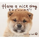 【取寄商品】CD / オルゴール / Have a nice day〜それでいいのだ!/α波オルゴール / DLOR-605