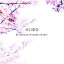 CD/桜〜SINGLES WARNER YEARS〜/河口恭吾/WPCL-13193 2,200円
