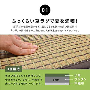 【新生活】収納簡単 い草ふっくらラグ クレパス (240cm × 240cm) (ベージュ)【取寄商品】【北海道・沖縄送料別】 [2]