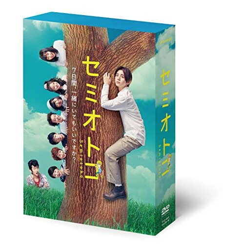 【取寄商品】DVD / 国内TVドラマ / セミオトコ DVD-BOX (本編ディスク4枚 特典ディスク1枚) / TCED-4813