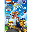 DVD / キッズ / パウ・パトロール ドタバタ!ききゅうレース / PJBA-1094