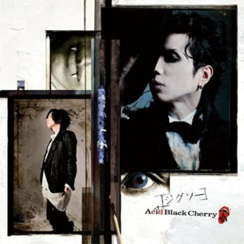 CD / Acid Black Cherry / ジグソー (ジャケットB) (通常盤) / AVCD-32121