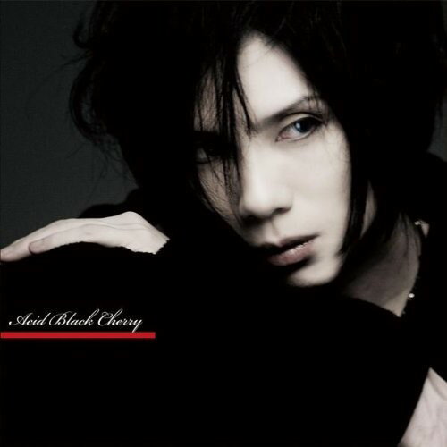 CD / Acid Black Cherry / 優しい嘘 (ジャケットB) (通常盤) / AVCD-32140