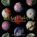 CD / 出羽良彰 / 日本テレビ系水曜ドラマ 私たちはどうかしている オリジナル・サウンドトラック / VPCD-86347