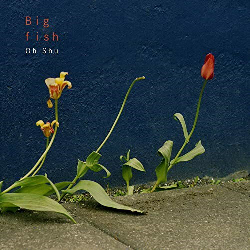Rakuten - CD / 王舟 / Big fish / PECF-1171