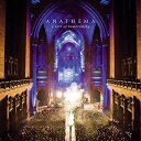 DVD / / ア・ソート・オブ・ホームカミング (DVD+2CD) (初回生産限定版) / GQBS-90074